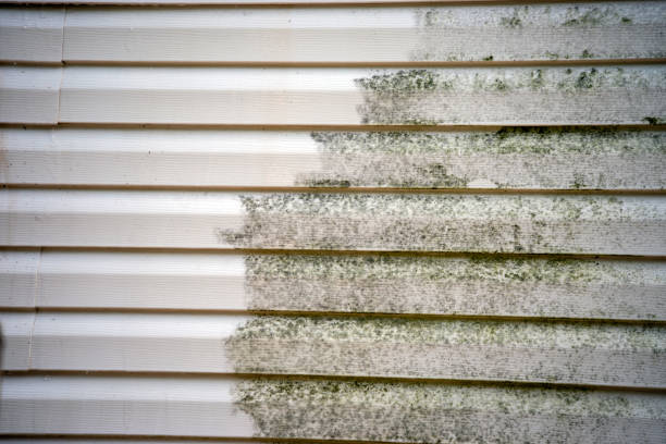 Best Mattress Disposal  in Yadkinville, NC