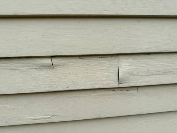 Best Construction Debris Removal  in Yadkinville, NC